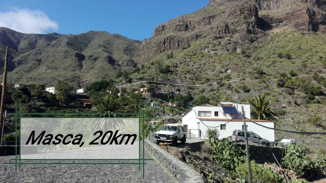 Los Geranios N.25 Icod De Los Vinos Dış mekan fotoğraf